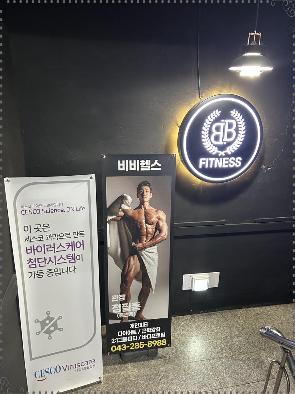 비비시스템 이미지