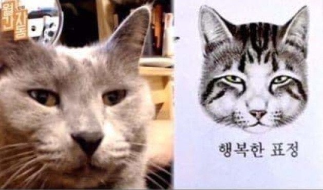 무코 이미지
