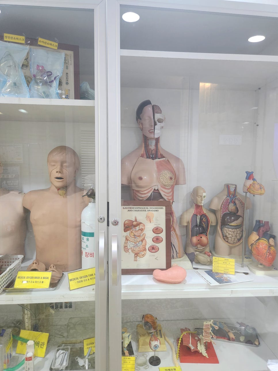 최강인천간호학원 이미지