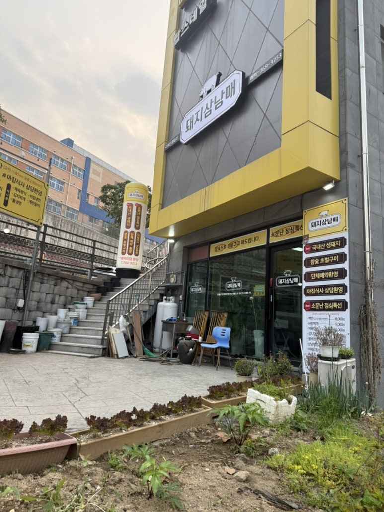 돼지3남매 이미지