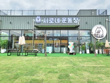 시로네 이미지