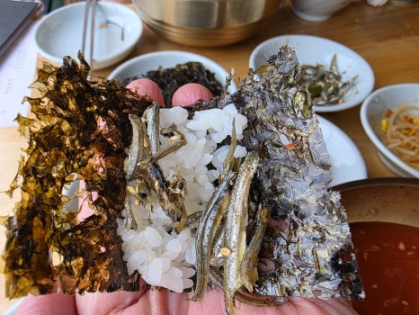사계절물회 이미지