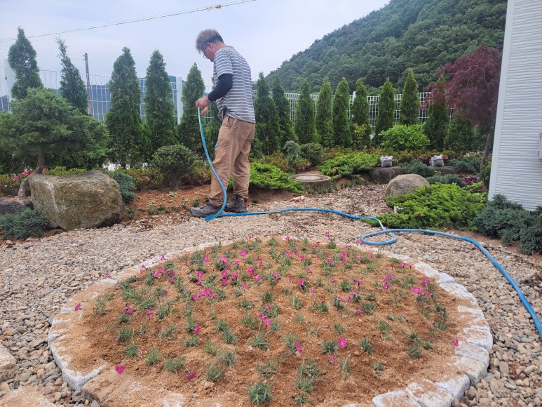 파랑새조경 이미지