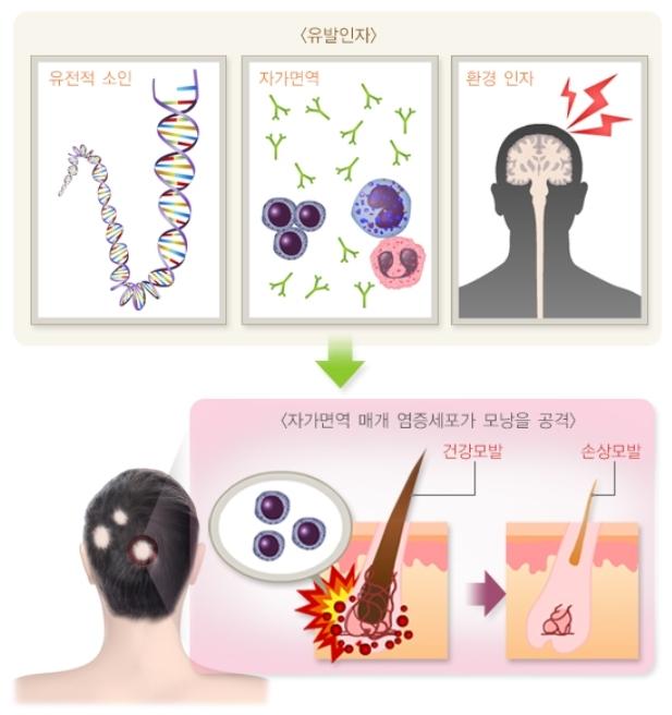 아룸의원 이미지