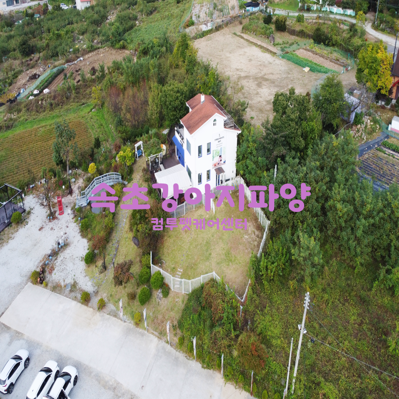 새삶 이미지