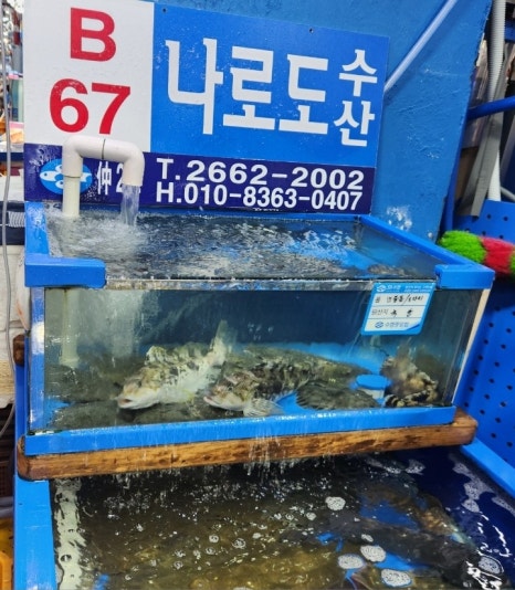 나로도수산 이미지