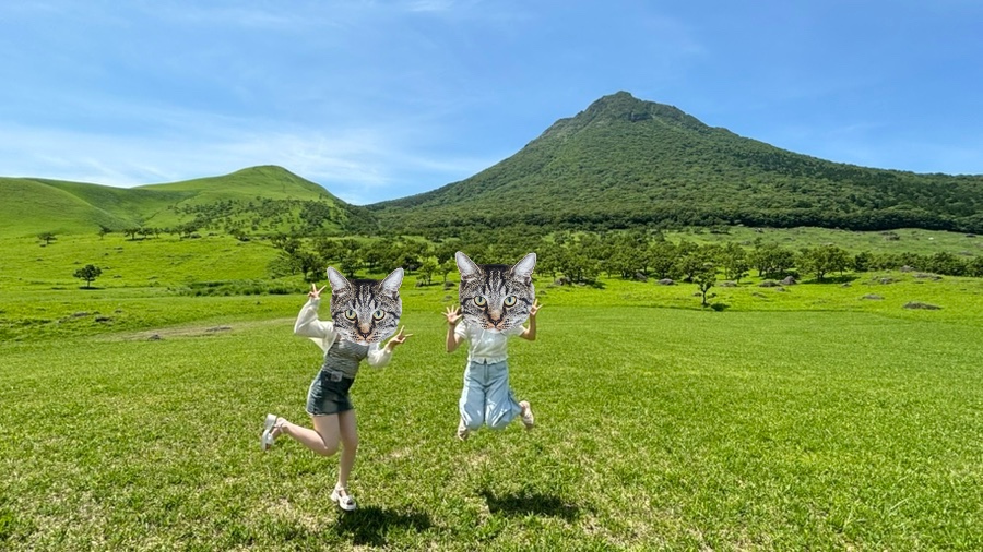 대바기네 이미지