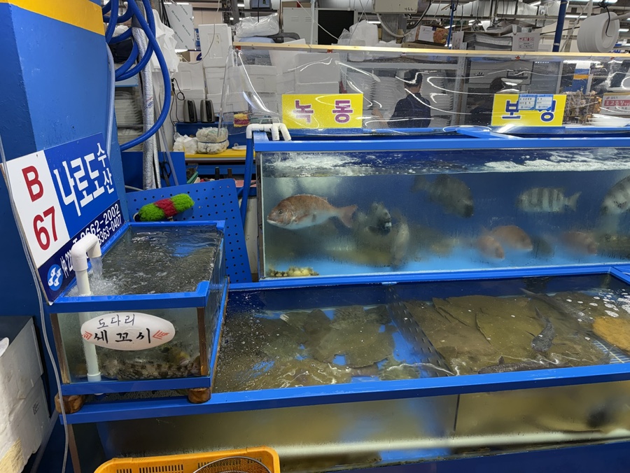 나로도수산 이미지