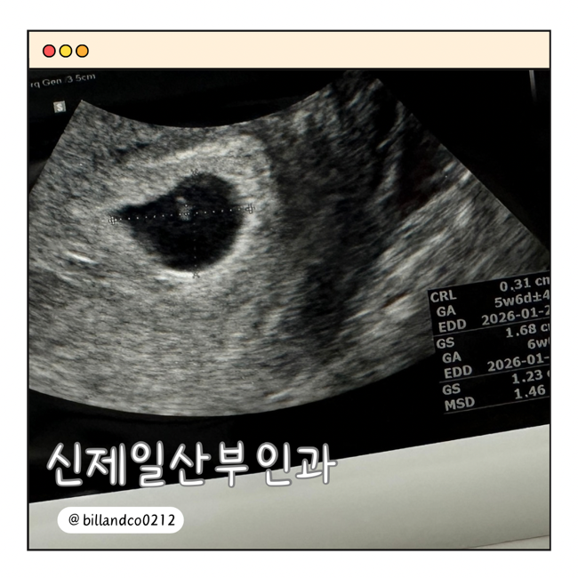 신제일 이미지