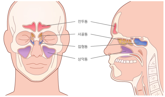 잠실원치과의원 이미지