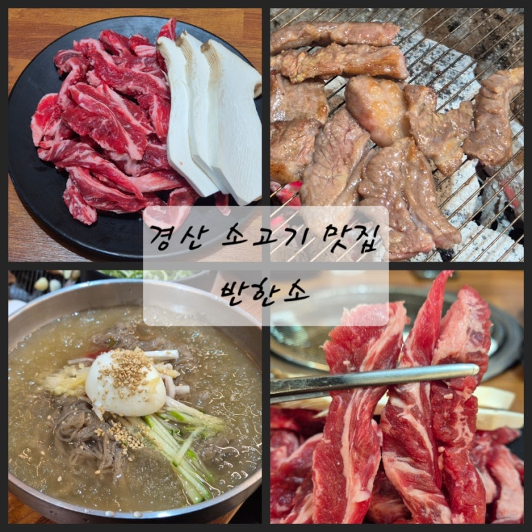 반한소 이미지