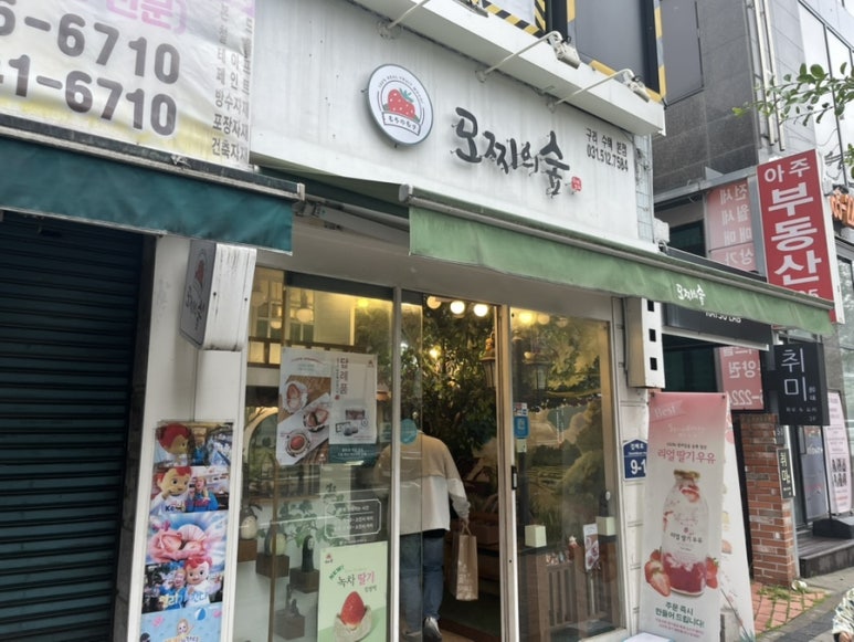 모찌의숲 이미지