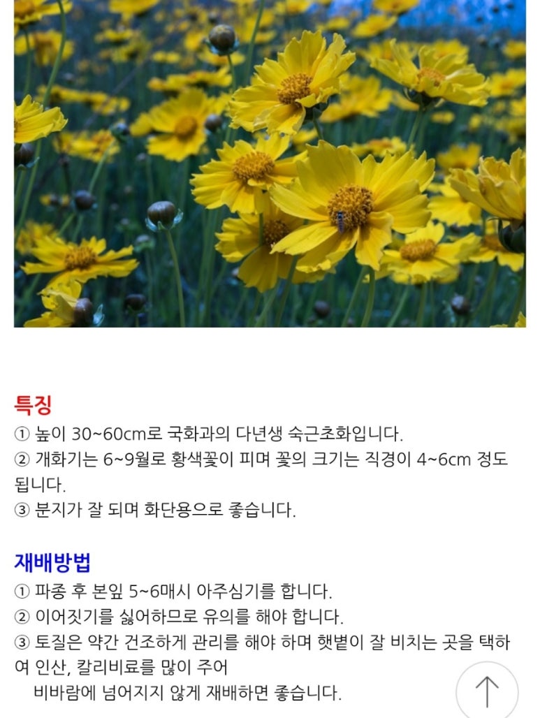한농종묘 이미지