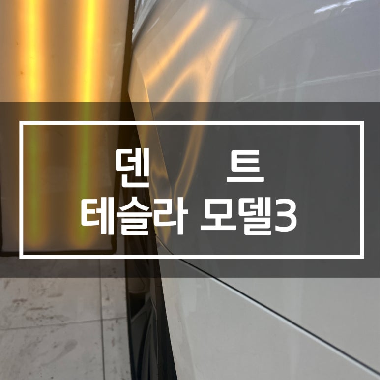 제주덴트 이미지