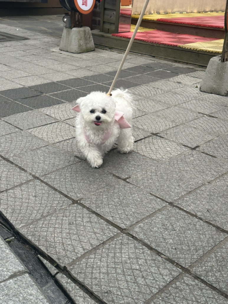 콩나루콩나물국밥아중점 이미지