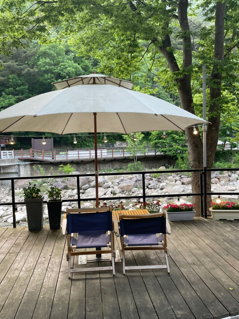 단양연화 이미지