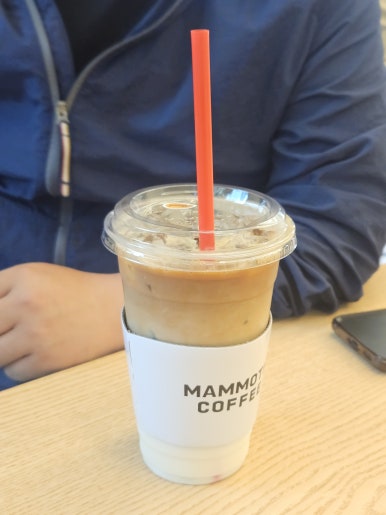 맘모스5호집 이미지