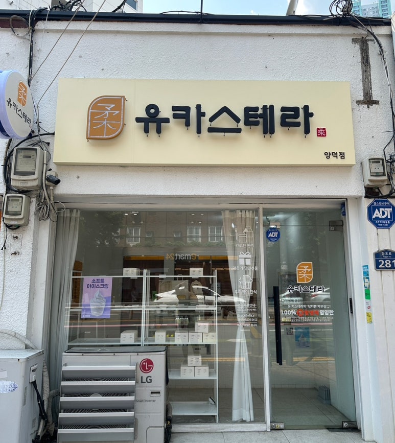 유카스테라 이미지