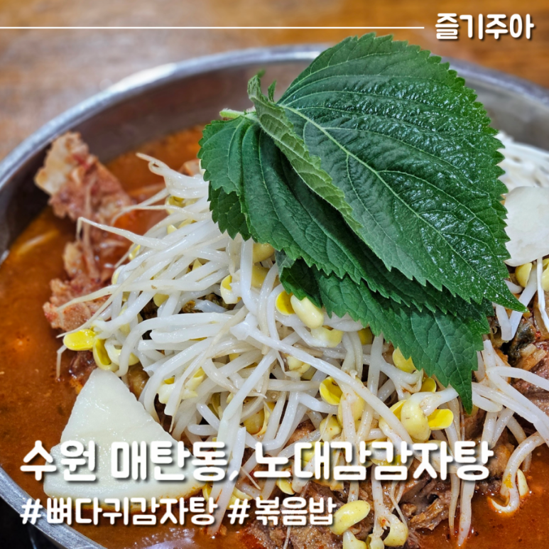 노대감 이미지