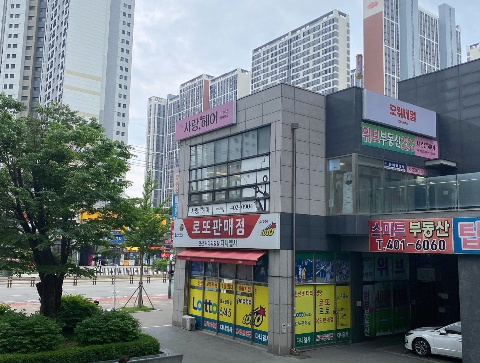 다니엘사 이미지
