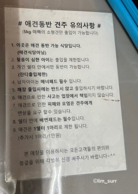 돌멩이캠핑바베큐 이미지