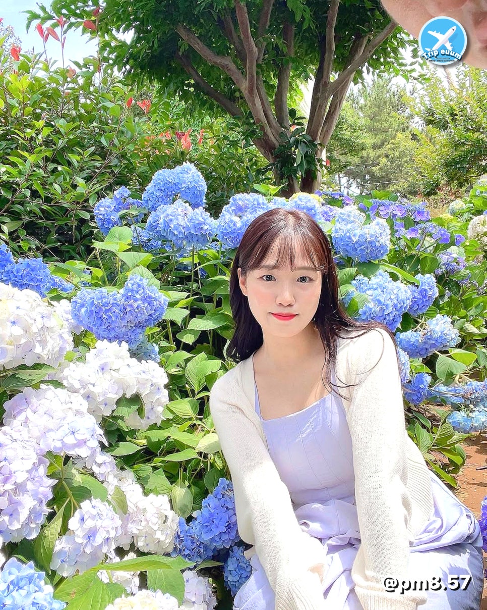 (주)허브라 이미지