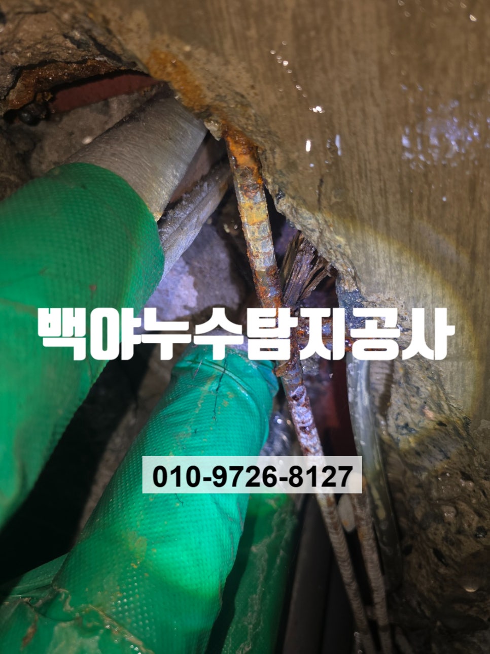 백야모텔 이미지