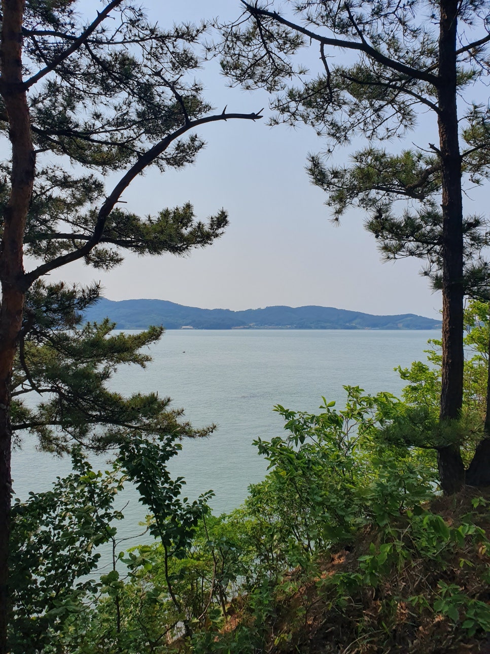 카페 호리 이미지