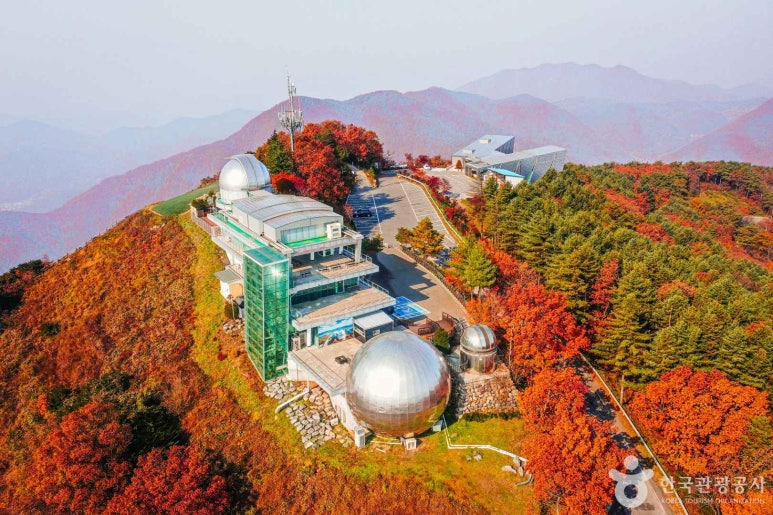 토성관광주 이미지
