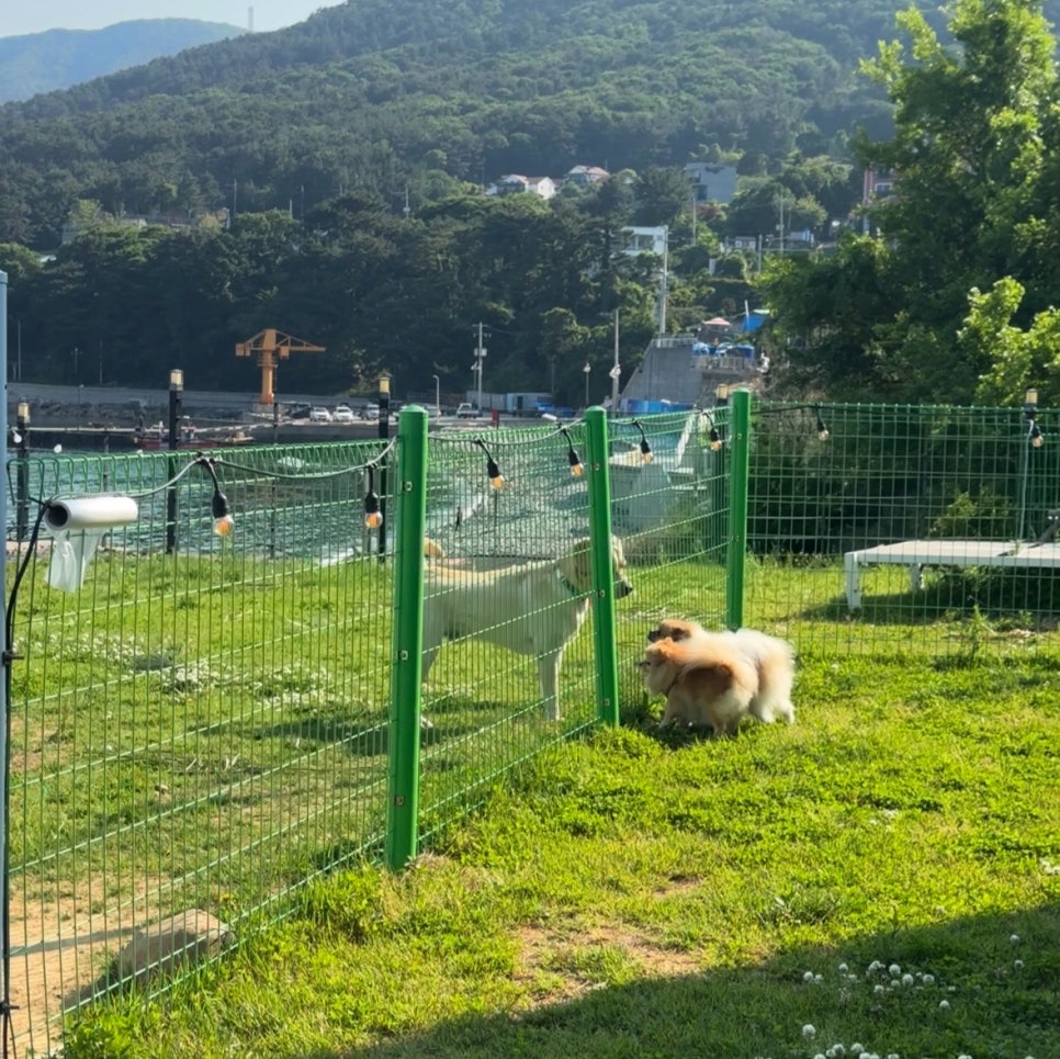 거제도더베이1804풀빌라펜션 이미지