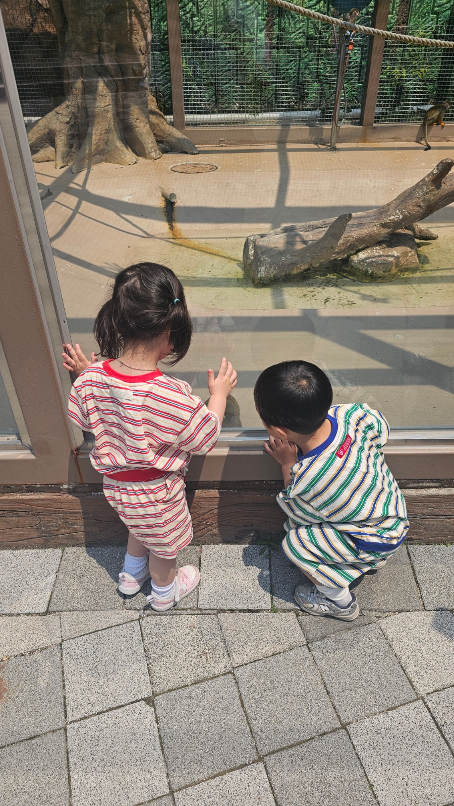여수 2박 3일 강아지 동반 가족 여행 코스 추천 — 사진 18