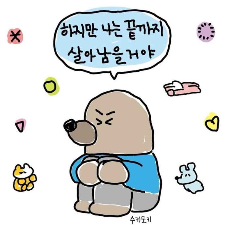 브라카 이미지