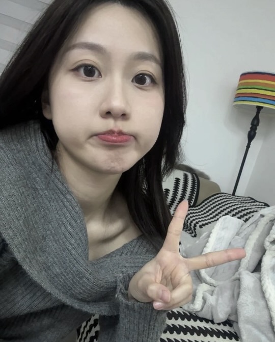 참치랑연어랑 이미지