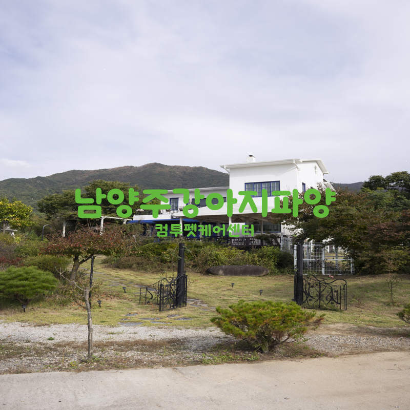새삶 이미지