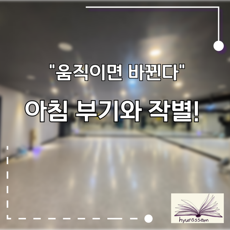 욜로댄스 이미지