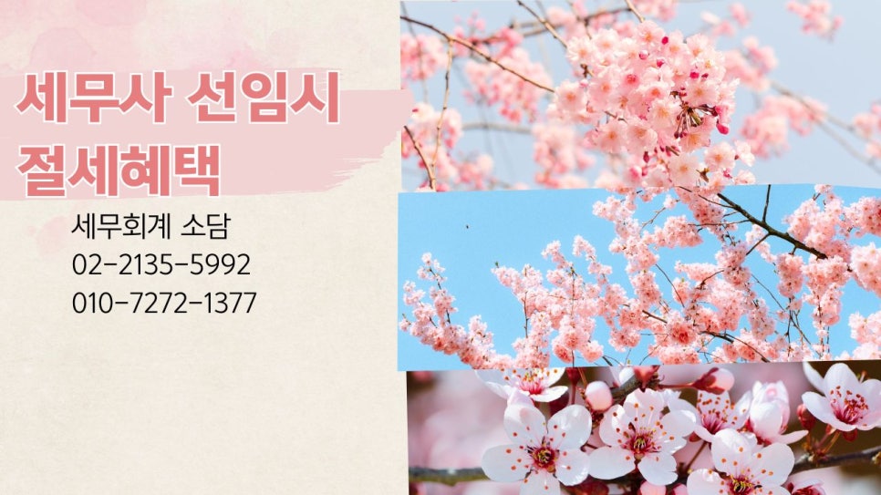 소담세무회계 이미지