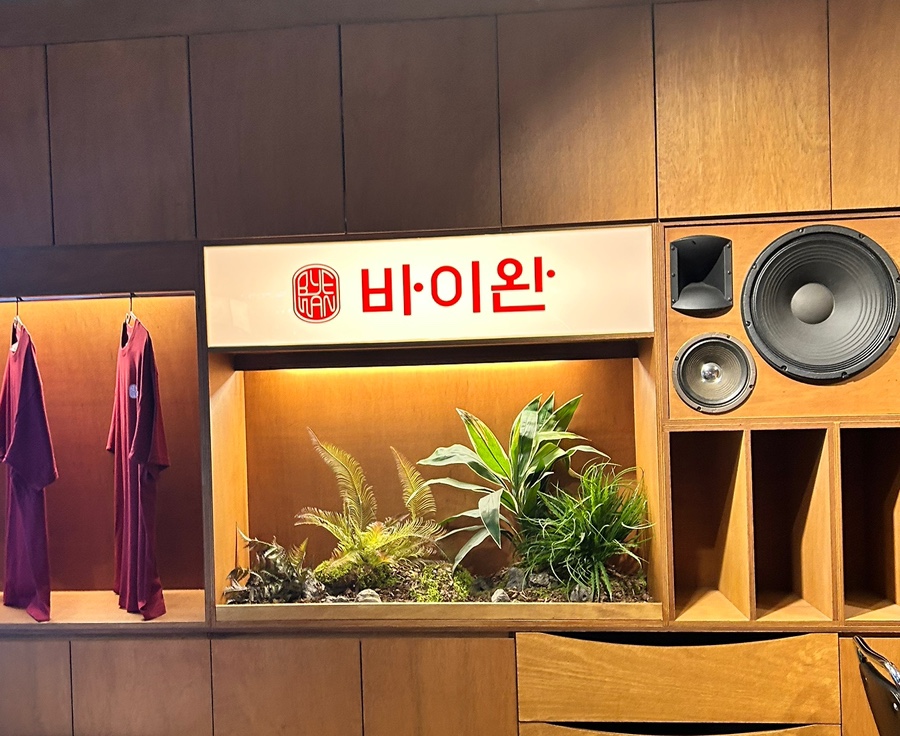 바이완 이미지