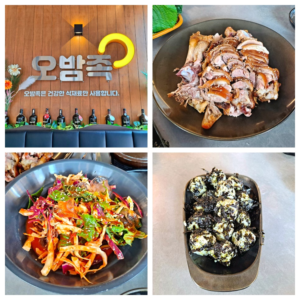 오밤족 이미지