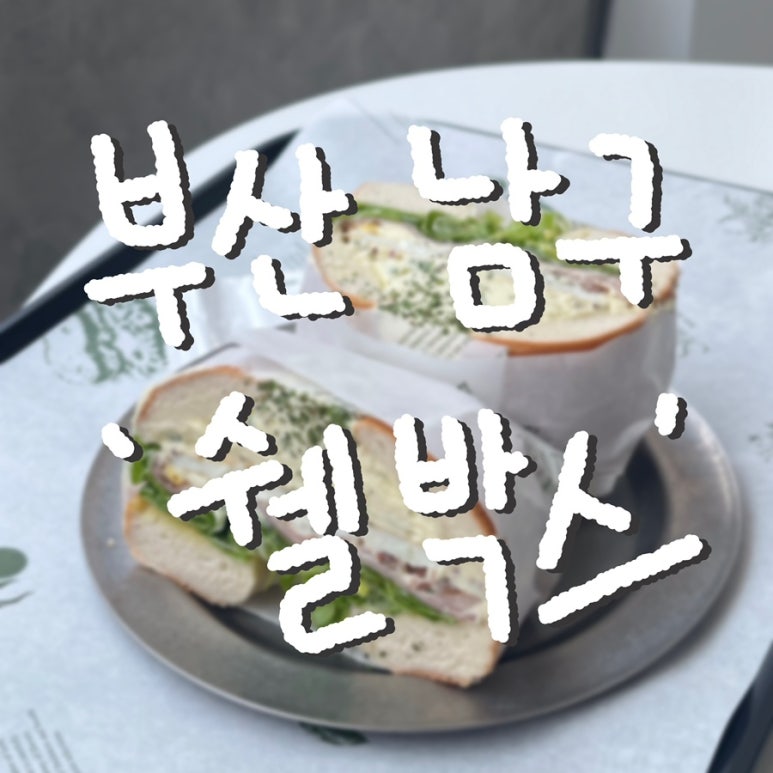 쉘박스 이미지