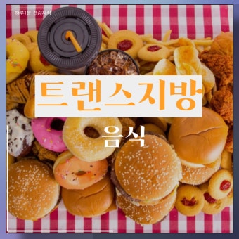제로백피트니스 이미지