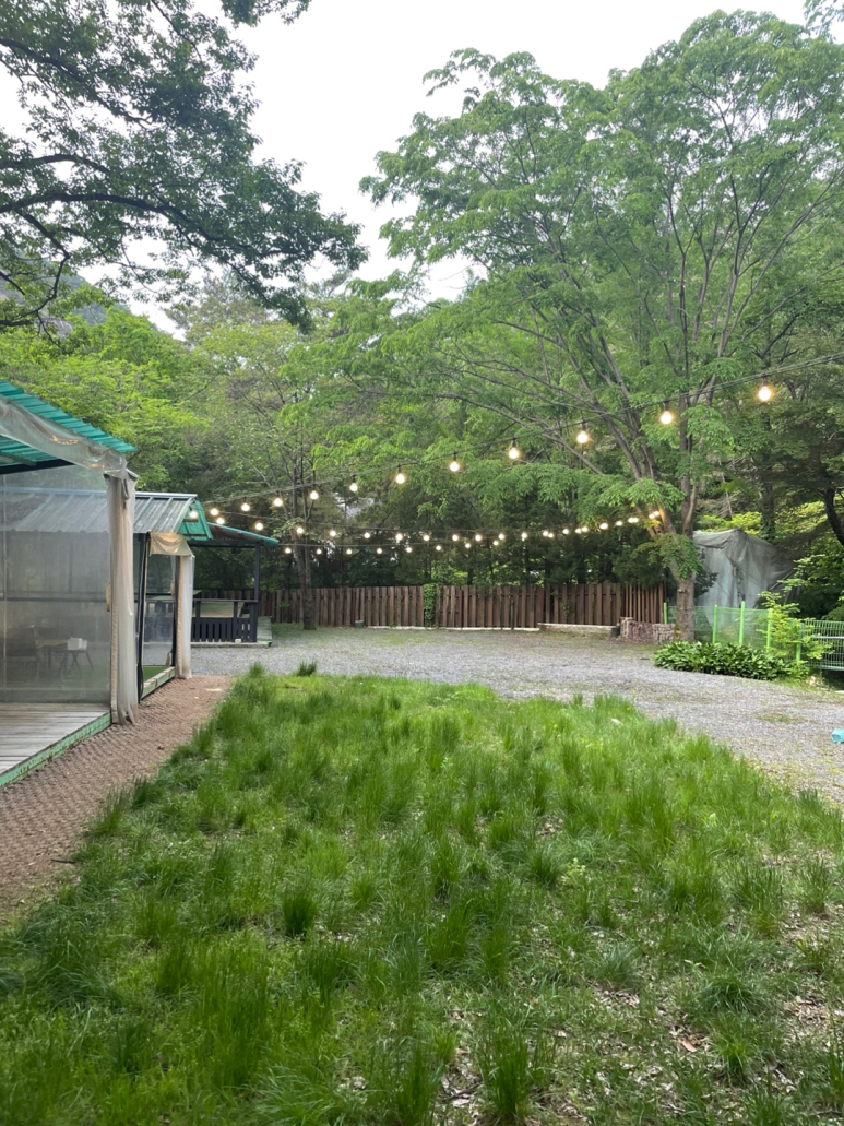 단양연화 이미지