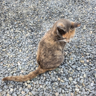 불닭발앤쌈 이미지