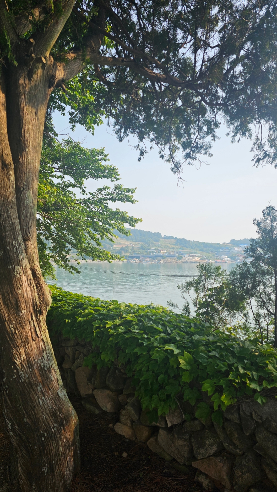 여수 2박 3일 강아지 동반 가족 여행 코스 추천 — 사진 16