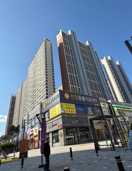 시립센트럴포레어린이집 이미지