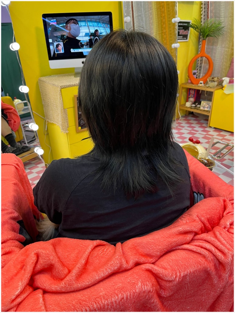 단다두리헤어 이미지