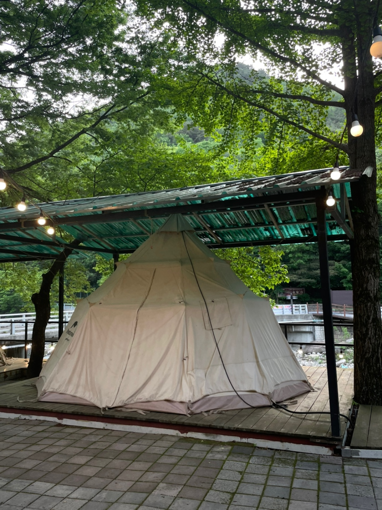 단양연화 이미지