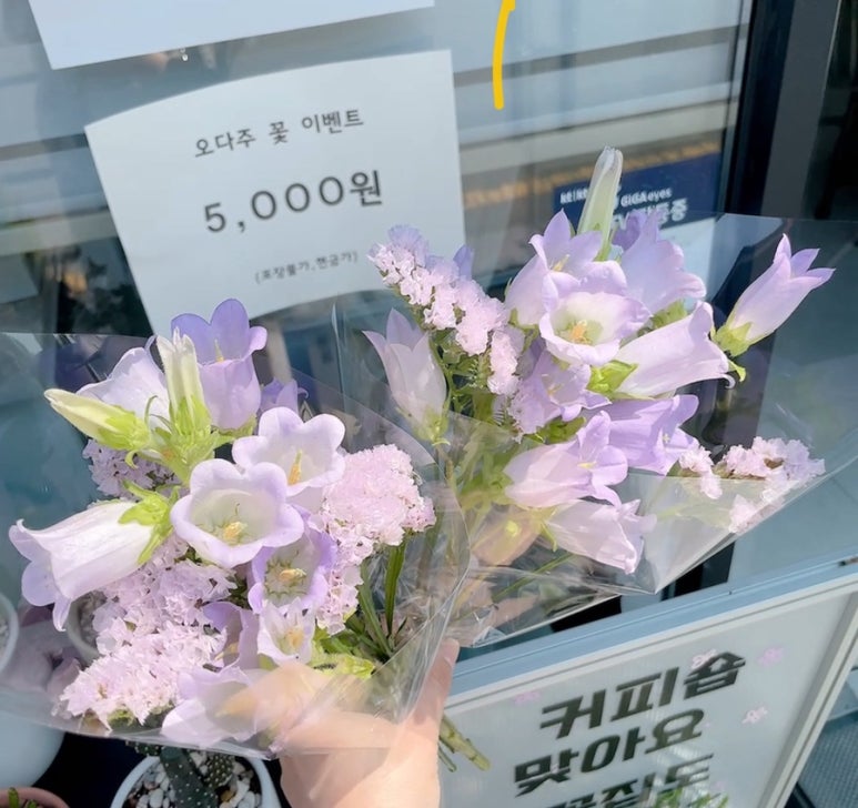 오다주 이미지