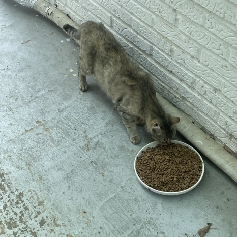 배영태한우 이미지
