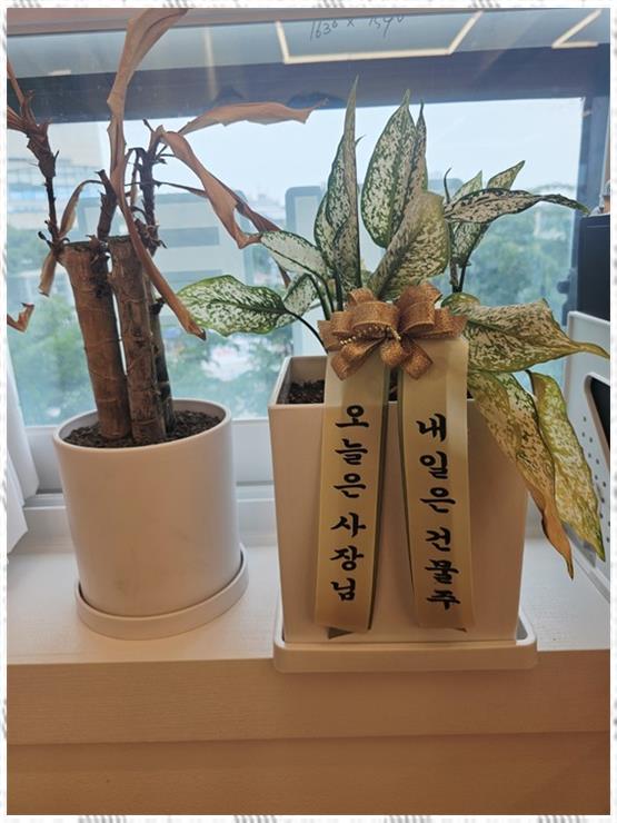 디앙기타&뮤직음악학원 이미지