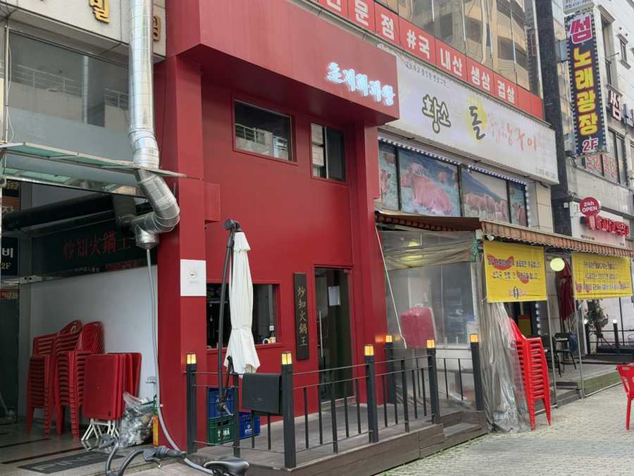초지화과왕 이미지